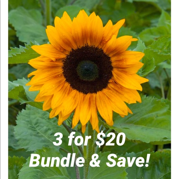🌻🎶 3 for $20 🎶 - Picture 1 of 1